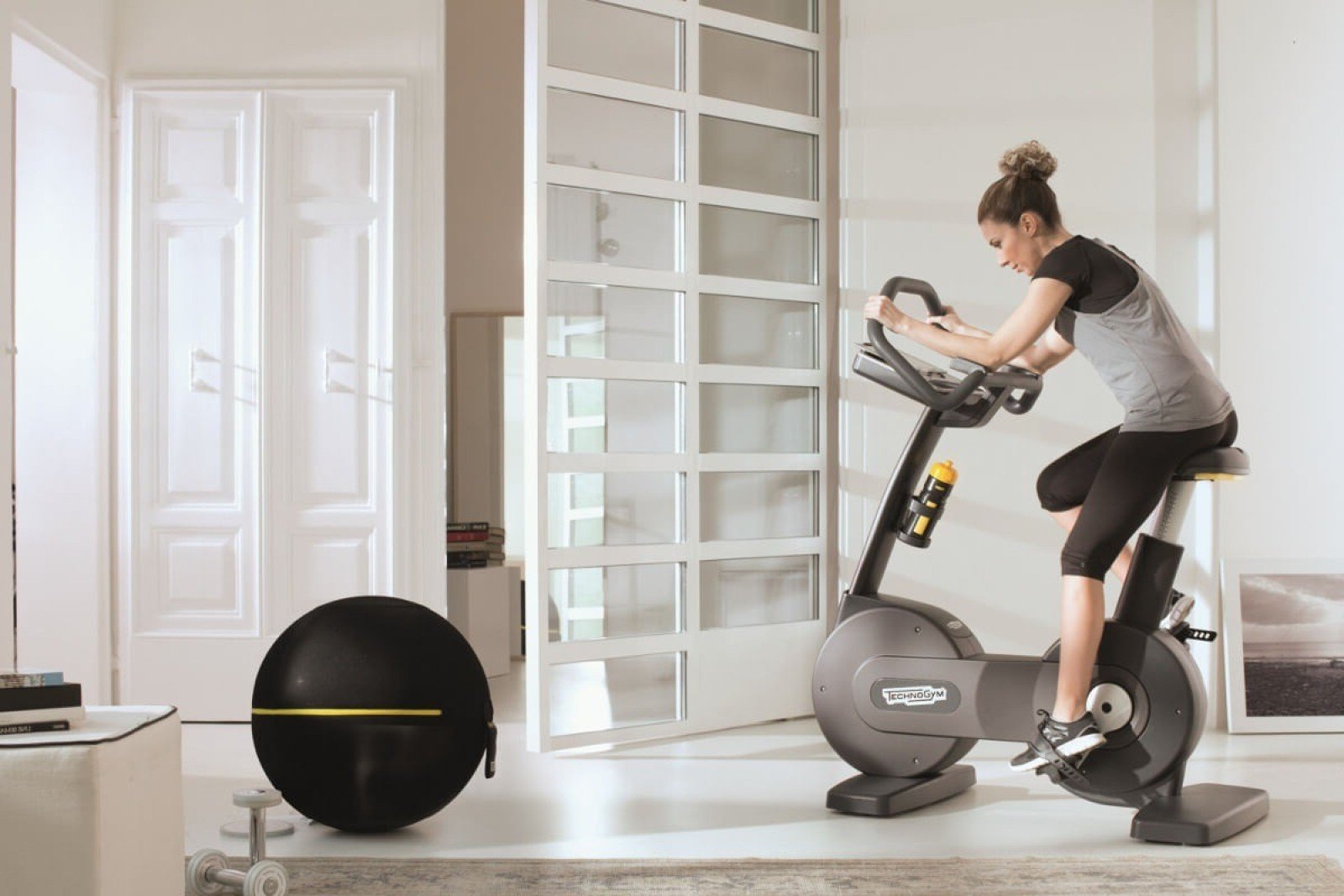 Technogym Bike Forma